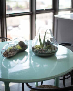 DIY Desert Terrarium Image